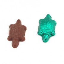 Chocolate Turtle