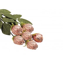 Chocolate Roses